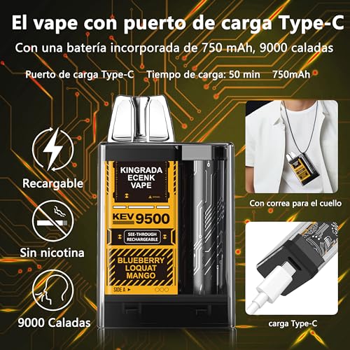 Ecenk Vaper Sin Nicotina 9000 Caladas Pod desechable Vaper Cigarrillo Electrónico Recargable Desechables Vaper, 10 Sabores (Arándano Níspero Mango)